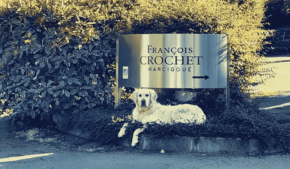 Francois-Crochet